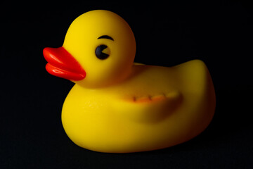 Yellow Rubber Duck