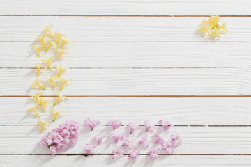 flowers of  hyacinths on white wooden background