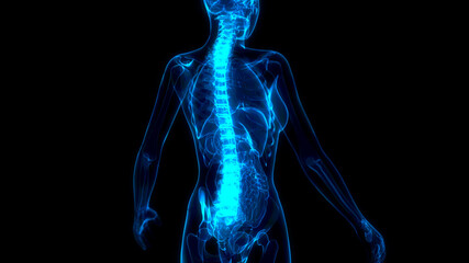 vertebra on x-ray human body, cg healthcare 3d illustration