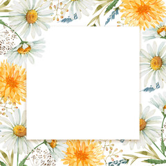 frame with delicate watercolor flowers daisies and chrysanthemums, hand painted illustration	
