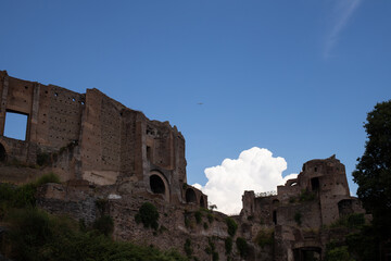 Fototapety  Forum Romanum Rzym zabytek latem