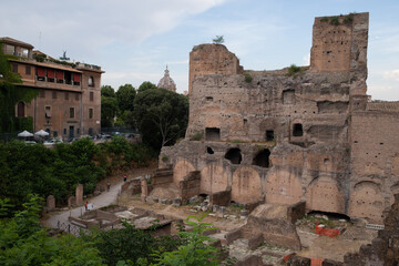 Forum Romanum Rzym zabytek latem