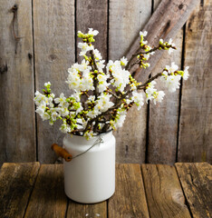 cherry flower blossom branch in enamel milk canister vase, old weathered wooden background