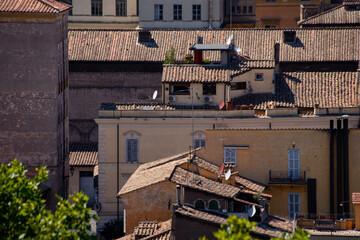 Dachy w mieście włoskim latem 