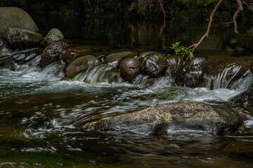 Maui Stream