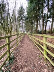 Fototapeta premium A view of the Cheshire Countryside at Carden