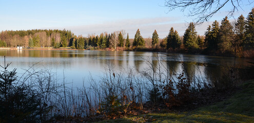 Frostiger Wintermorgen am Waldsee