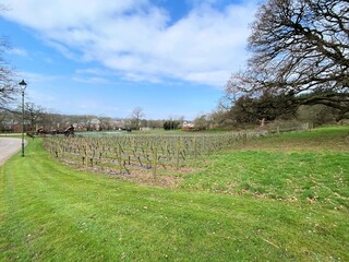 Fototapeta premium A view of the Cheshire Countryside at Carden