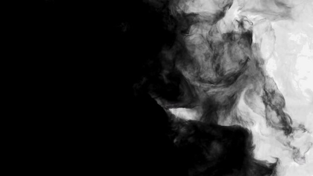 Smoke,Vapor,Fog - slow motion realistic smoke. Cloud for using in composition. Transition from white to black