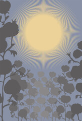 Boho style sun plants vase poster vector