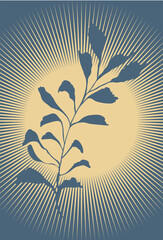 Fototapeta na wymiar Boho style sun plants vase poster vector