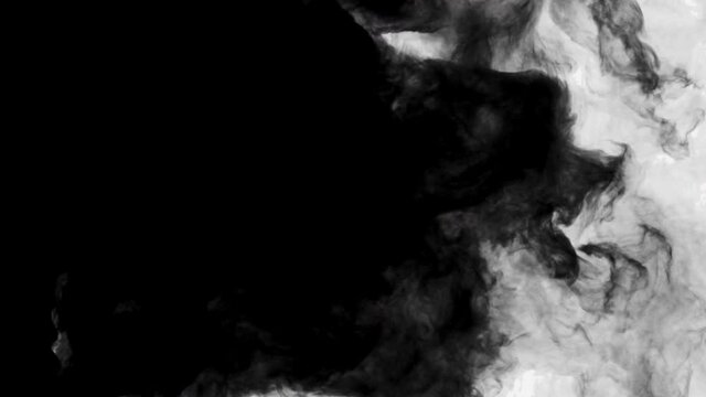 Smoke,Vapor,Fog - slow motion realistic smoke. Cloud for using in composition. Transition from white to black
