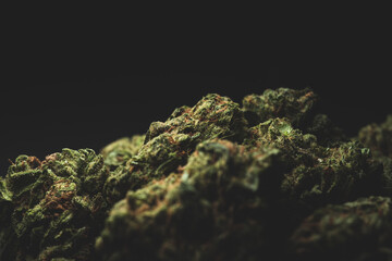 Macro close up of Sweet Island Cannabis Marijuana Dry Buds,