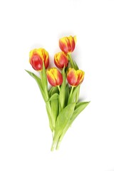 bouquet of tulips
