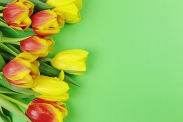 Obraz premium bouquet of yellow tulips on green background