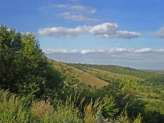 Landscape on a summer sunny day