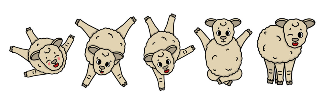 Cartoon outline vector sheep is engaged in various activities, makes gymnastic wheel, stands on one paw, sits in lotus position, jumps high, smiles, leads an active lifestyle. Isolated set on white.