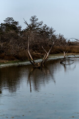 Alberese parco della maremma