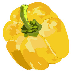 Paprika. Yellow, sweet pepper, vegetable, healthy meal.  Fresh vegetarian food. Vegetarian, vegetable, bright element, print for kitchen or farm. Fresh, seasonal crop.The plant is edible.