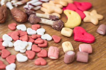 Dog tasty colored biscuits, snacks for dogs