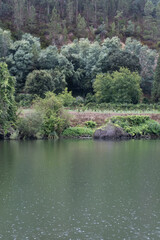 Rainy day landscape on the river