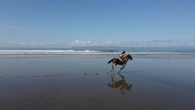 woman riding a horse galloping fast on a beach Costa Rica epic aerial flight