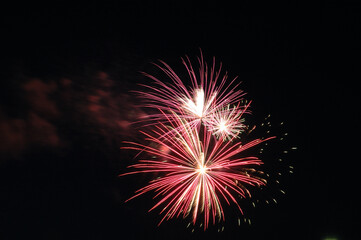 Colorful firework in the night sky