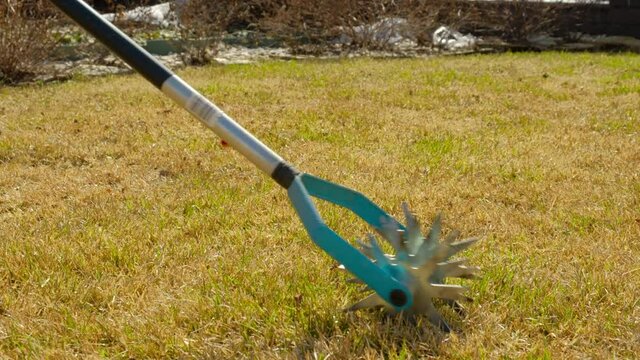 Manual scarification. Aerating and scarifying the lawn in the garden