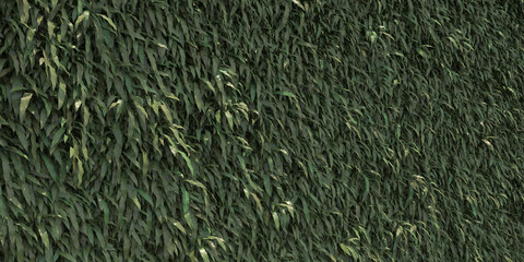 Wall is full of vegetation green color
