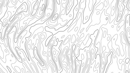 Vector contour topographic map background. Topography and geography map grid abstract backdrop. Business concept. Vector illustration