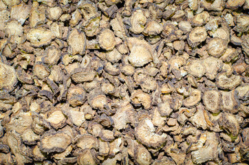 Medicinal herb Arctium (dry burdock root).