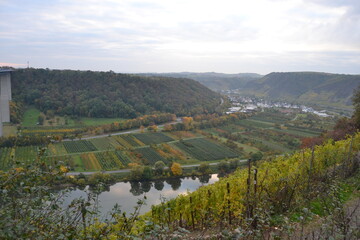 River Moselle through the Moselle valley with the famous vineyards