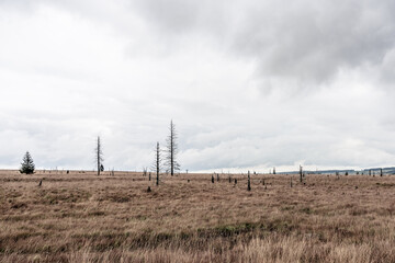 Landscape in the High Fens Nature Park in the Eifel, Belgium..