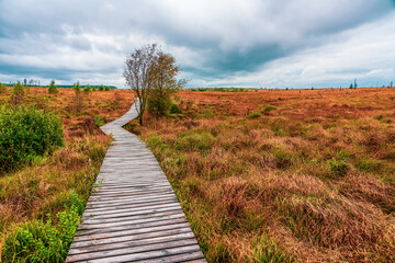 Landscape in the High Fens Nature Park in the Eifel, Belgium..