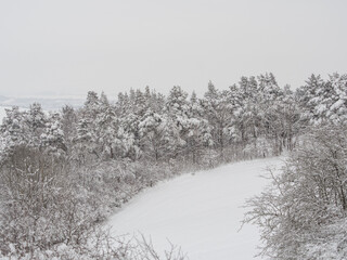 Landschaft im Winter