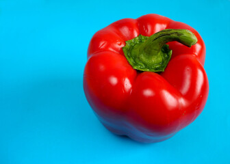 a whole juicy red sweet pepper stands on a blue background side view . an ingredient in the kitchen