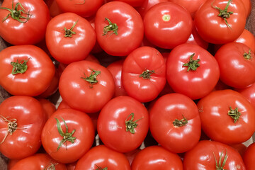 A lot of red tomatoes close up