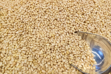 peeled pine nuts. nut scoop close-up