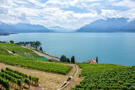 Lavaux