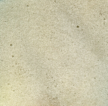 photo texture of old paralon background