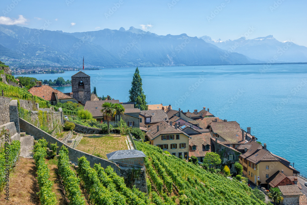 Wall mural Lavaux