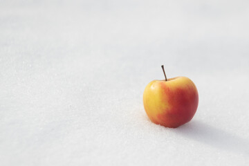 bright yellow apple on white snow