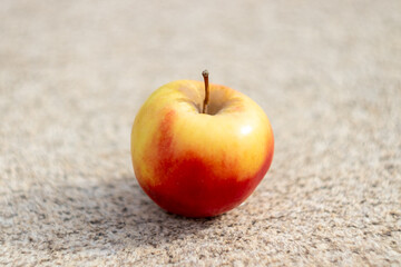 a red and yellow apple on the asphalt close up on a sunny day