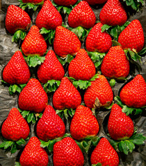 Fresh red ripe organic strawberries close up on vegetables market. Organic food concept. 