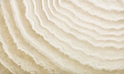 detailed light structure from lined yellow agate