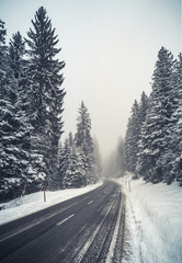 Fototapeta na wymiar road in switzerland during winter lead through a snowy forest with snow and clouds and trees