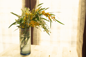 Bouquet of mimosas on a flowerpot standing on a wooden table in front of a window