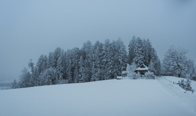 road in switzerland during winter lead through a snowy forest with snow and clouds and trees