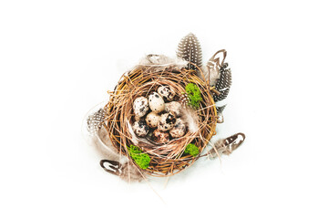 Spring Easter holiday white background with quail eggs and feathers in a nest. Banner with copy space. Top view
