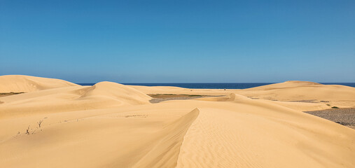 Fototapeta na wymiar sand dunes reddish sand